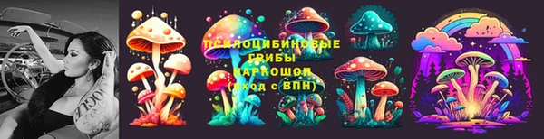 мдпв Арсеньев