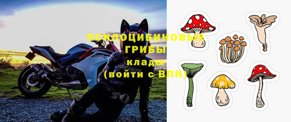 мдпв Арсеньев