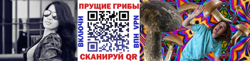 Галлюциногенные грибы Psilocybe  Новый Оскол 